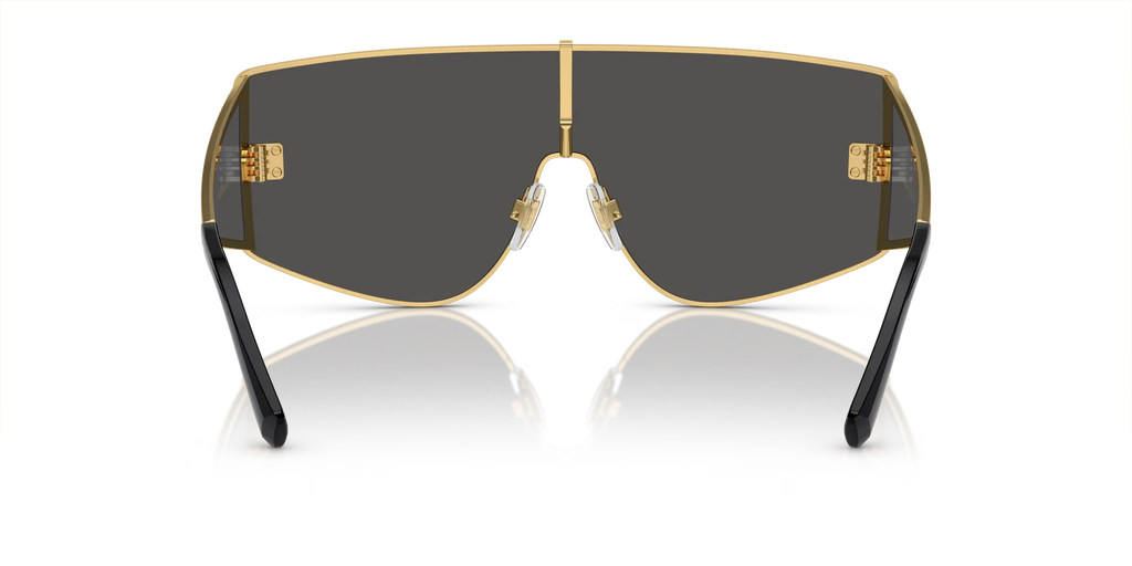 Occhiali Da Sole Dolce & Gabbana DG2305 02/87