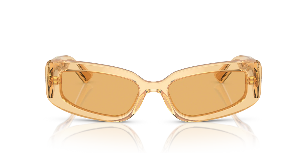 Occhiali Da Sole Dolce & Gabbana DG4445 3046/7 54