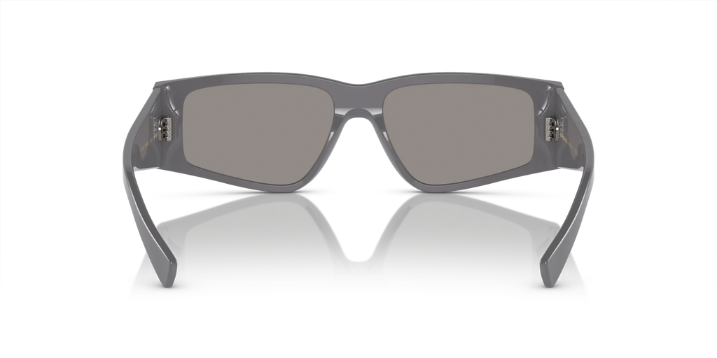 Occhiali Da Sole Dolce & Gabbana DG4453 3090M3 55