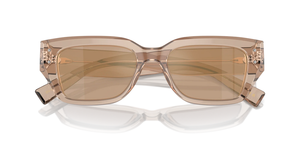 Occhiali Da Sole Dolce & Gabbana DG4462 34325A 52