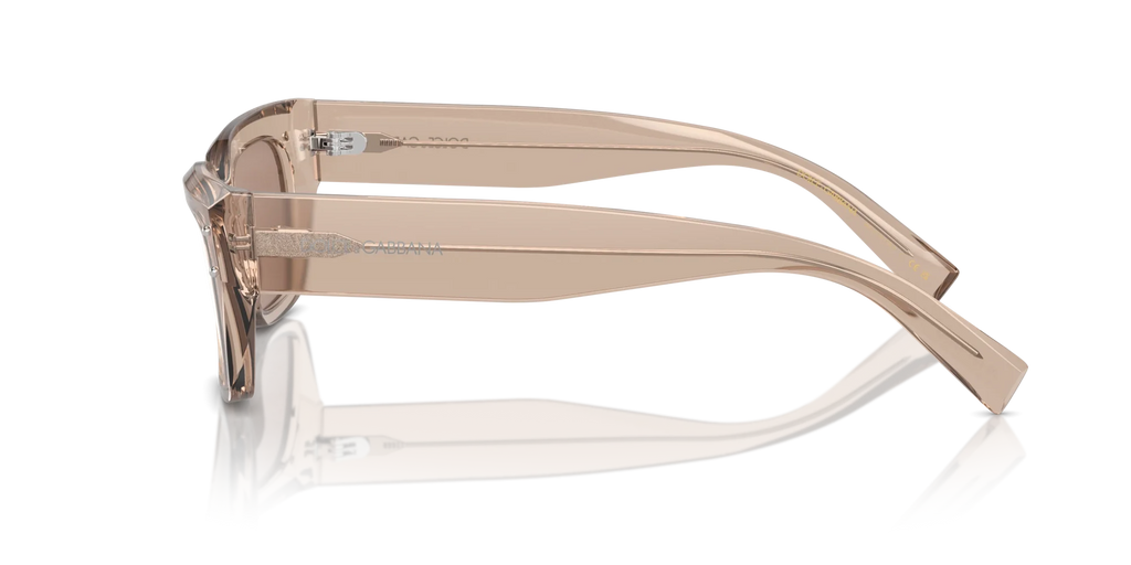 Occhiali Da Sole Dolce & Gabbana DG4462 34325A 52
