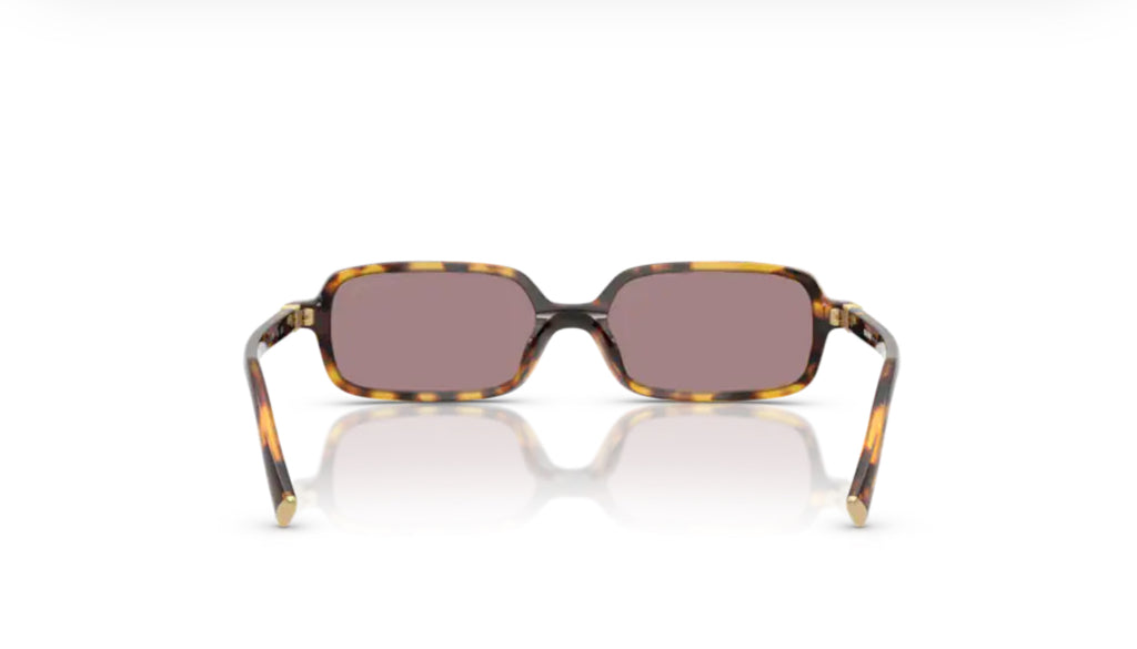 Miu Miu  11ZS 14L20I - Havana miele