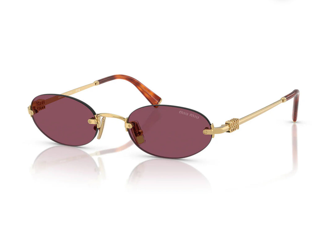 Miu Miu   Women's Sunglasses