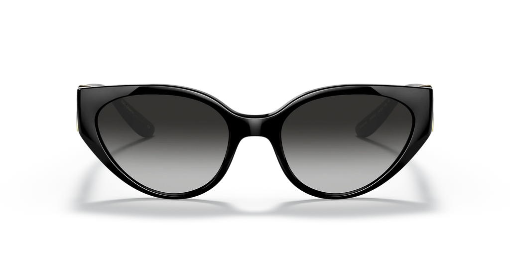 Occhiali Da Sole Dolce & Gabbana DG6146 501/8G 54