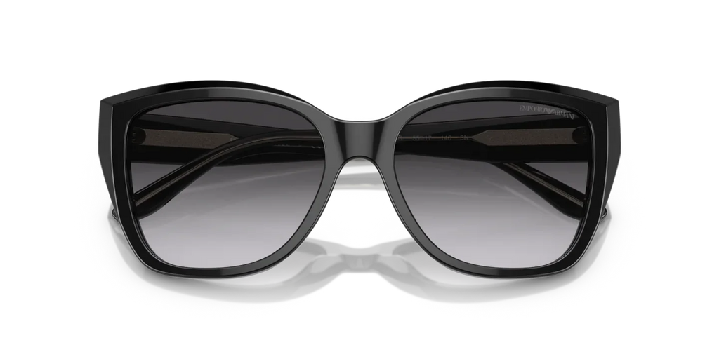 Occhiali Da Sole Emporio Armani EA4198 50178G 55
