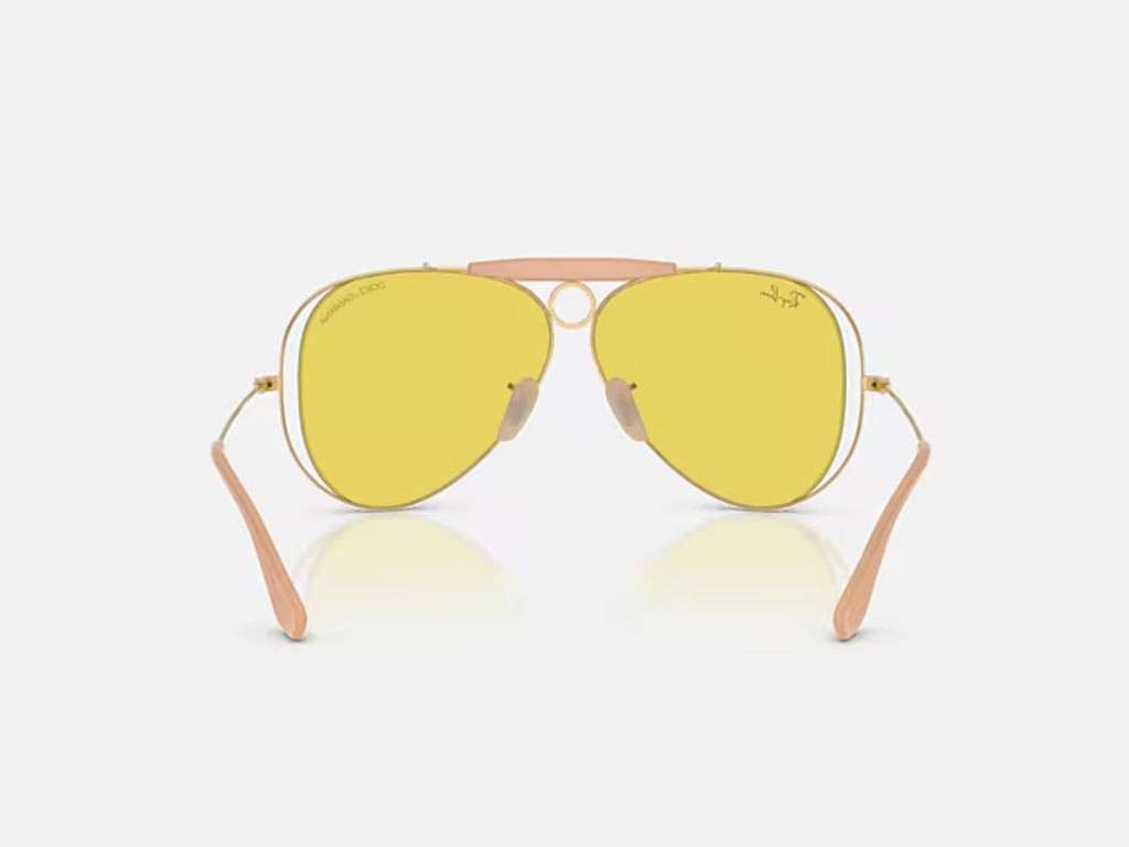 Occhiali Da Sole Dolce & Gabbana X Ray-Ban