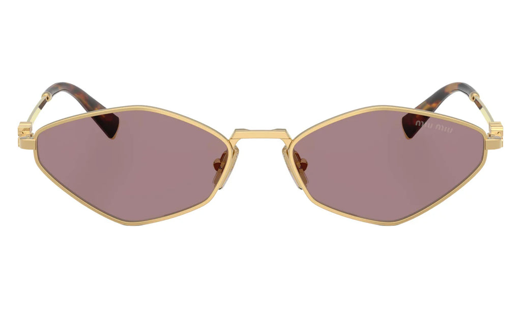 Miu Miu   Women's Sunglasses