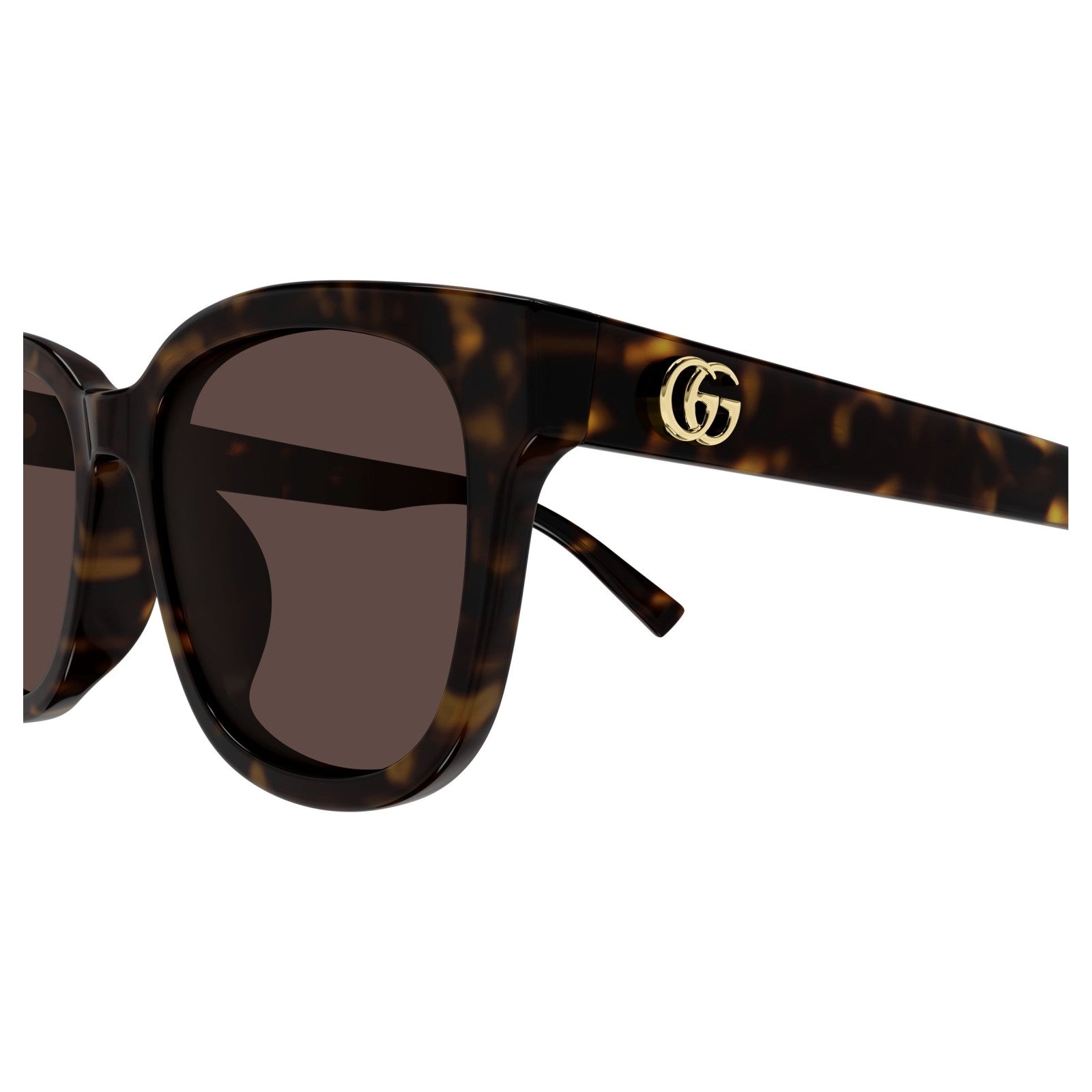 Gucci GG2126SK - 002 Havana | Occhiale Da Sole Donna