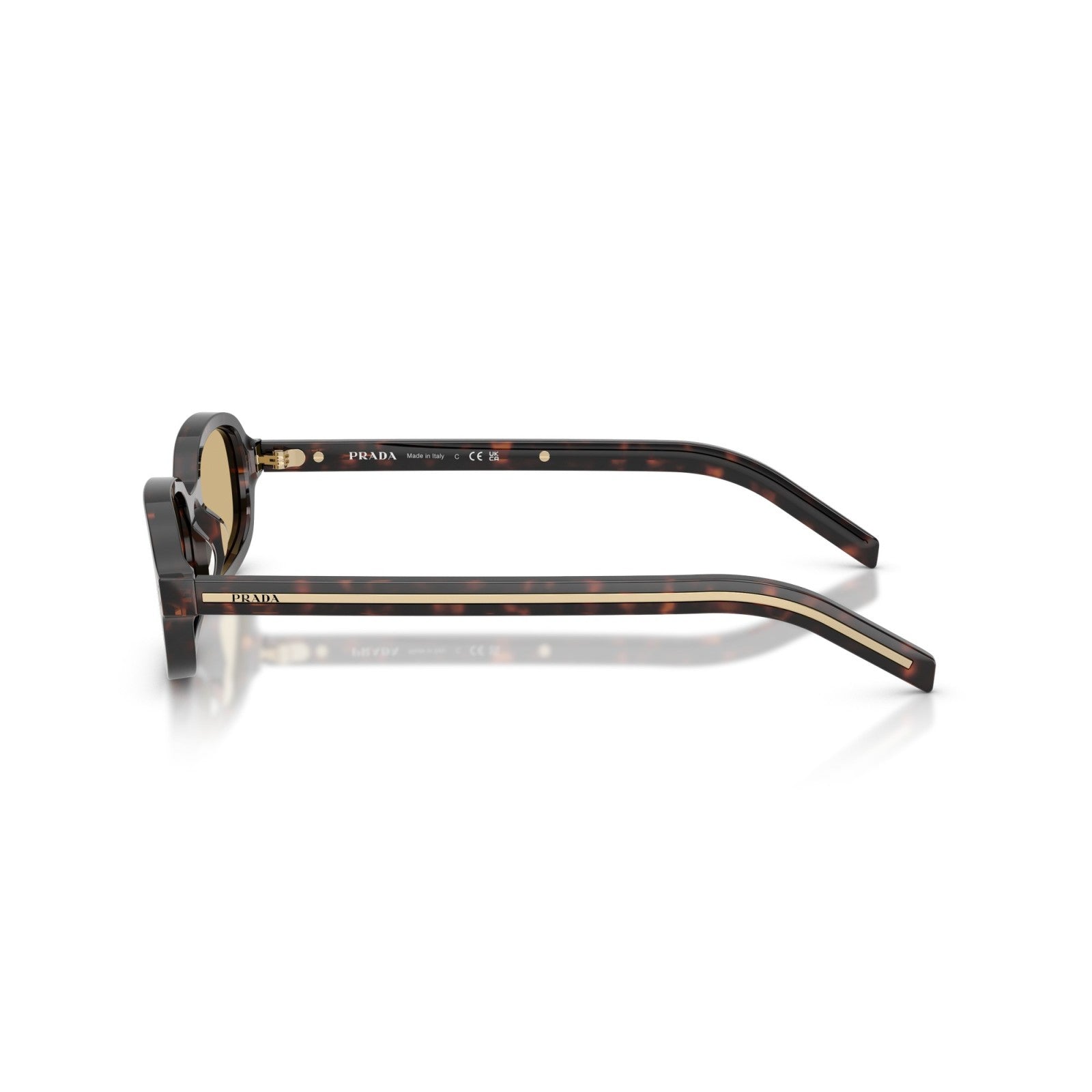 Prada PR D06S - 17N70R Tartaruga Delle Radici | Occhiale Da Sole Donna