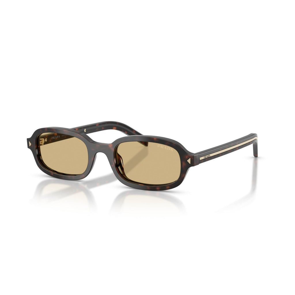 Prada PR D06S - 17N70R Tartaruga Delle Radici | Occhiale Da Sole Donna