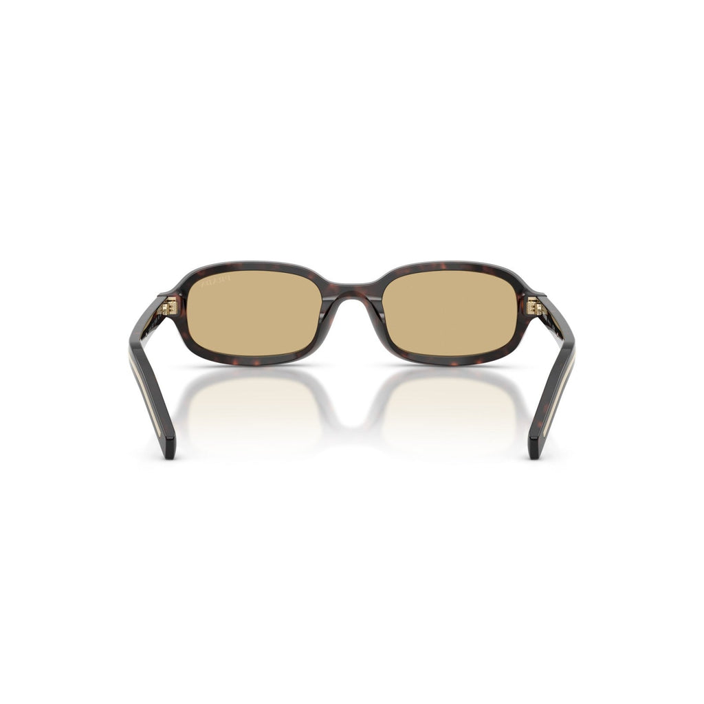 Prada PR D06S - 17N70R Tartaruga Delle Radici | Occhiale Da Sole Donna