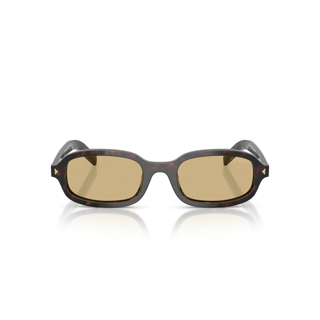 Prada PR D06S - 17N70R Tartaruga Delle Radici | Occhiale Da Sole Donna