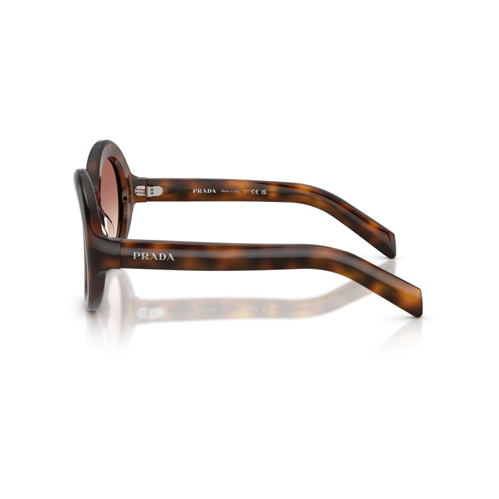 Prada PR D08SU - 20D70X Tartaruga Di Ginepro | Occhiale Da Sole Donna Novità