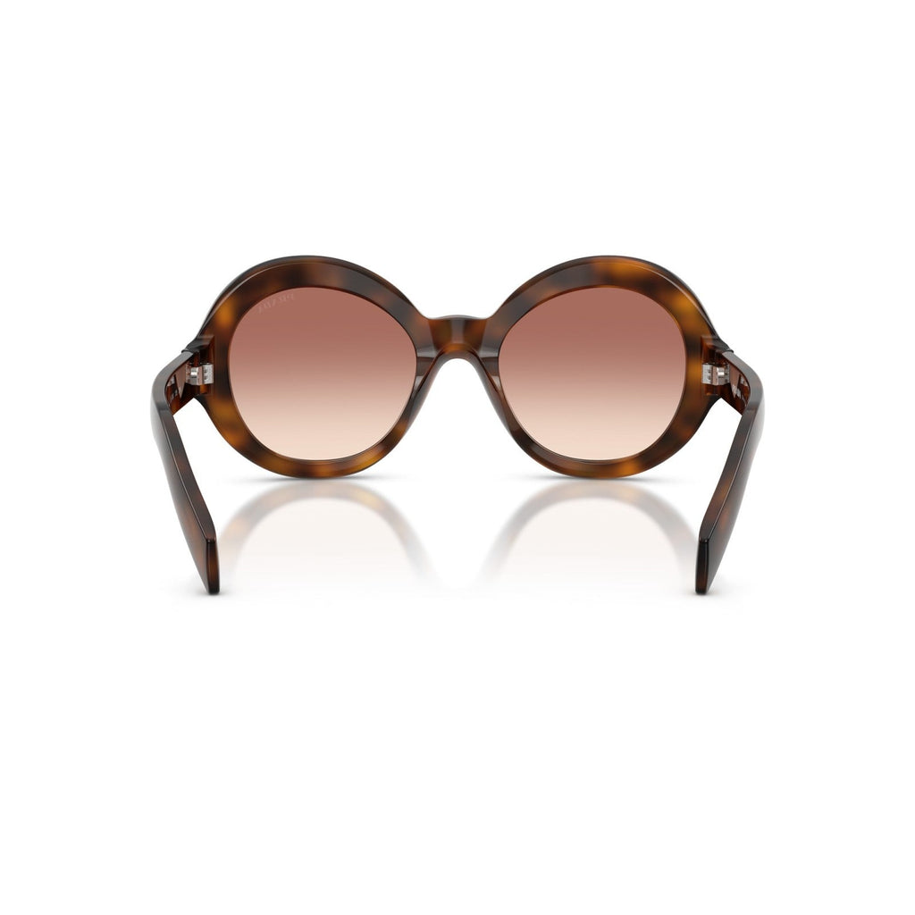 Prada PR D08SU - 20D70X Tartaruga Di Ginepro | Occhiale Da Sole Donna Novità