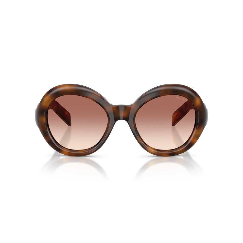 Prada PR D08SU - 20D70X Tartaruga Di Ginepro | Occhiale Da Sole Donna Novità