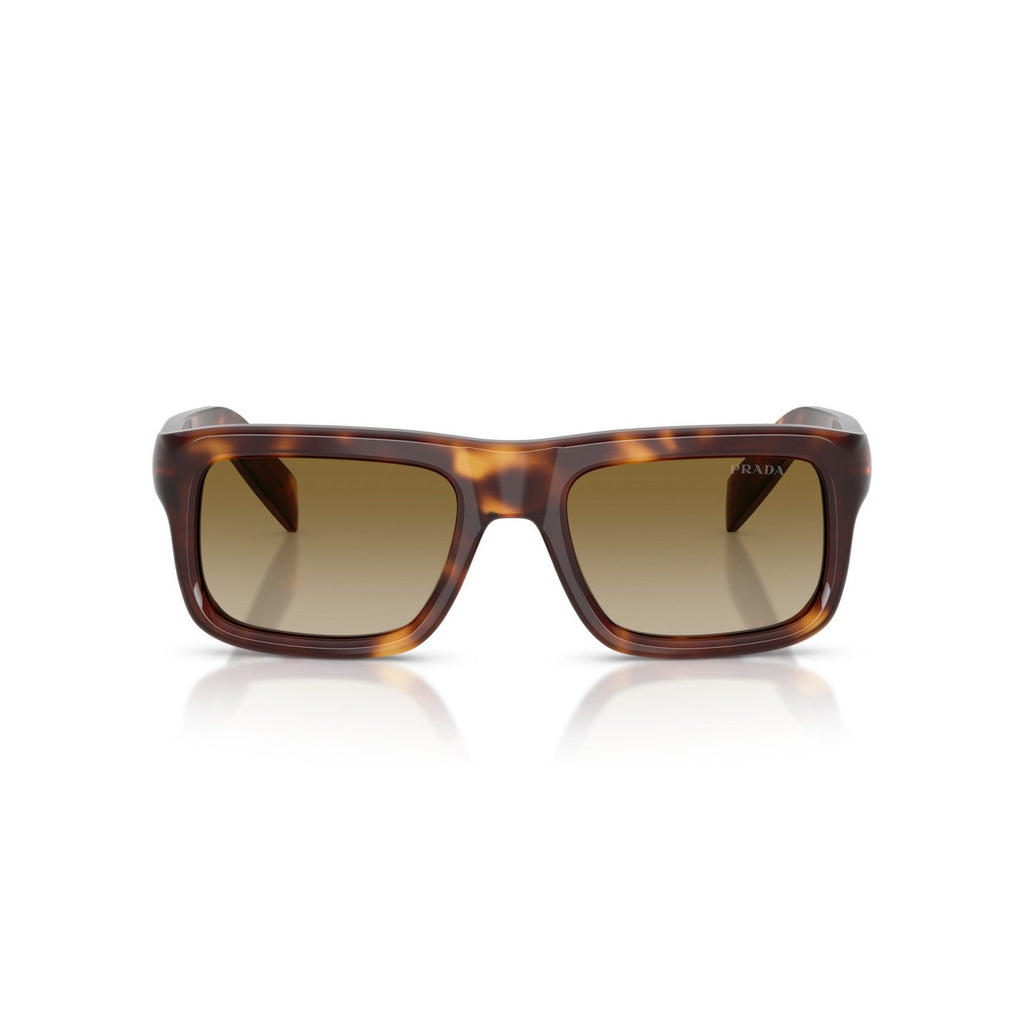 Prada PR D11S - 15W20U Tartaruga Classica | Occhiale Da Sole Uomo