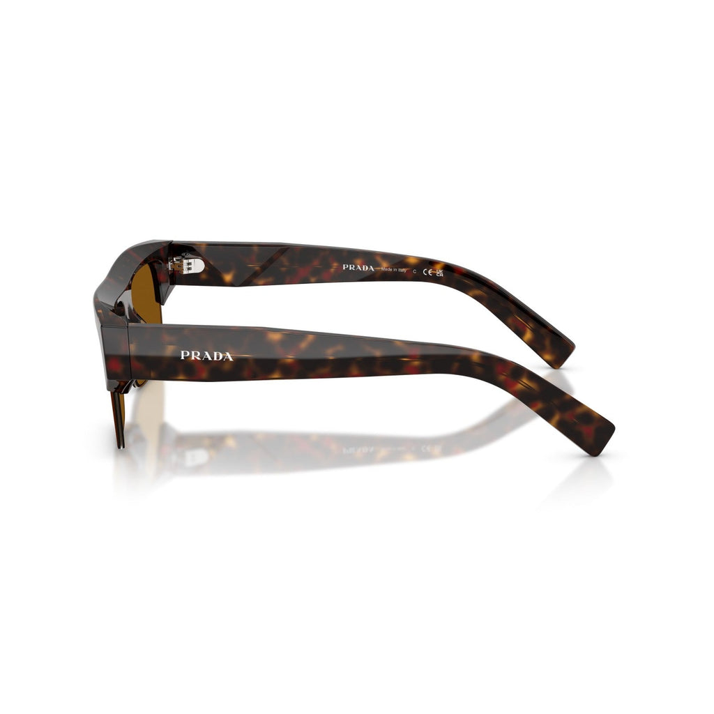 Prada PR D12SU - 17N20V Tartaruga Delle Radici | Occhiale Da Sole Uomo