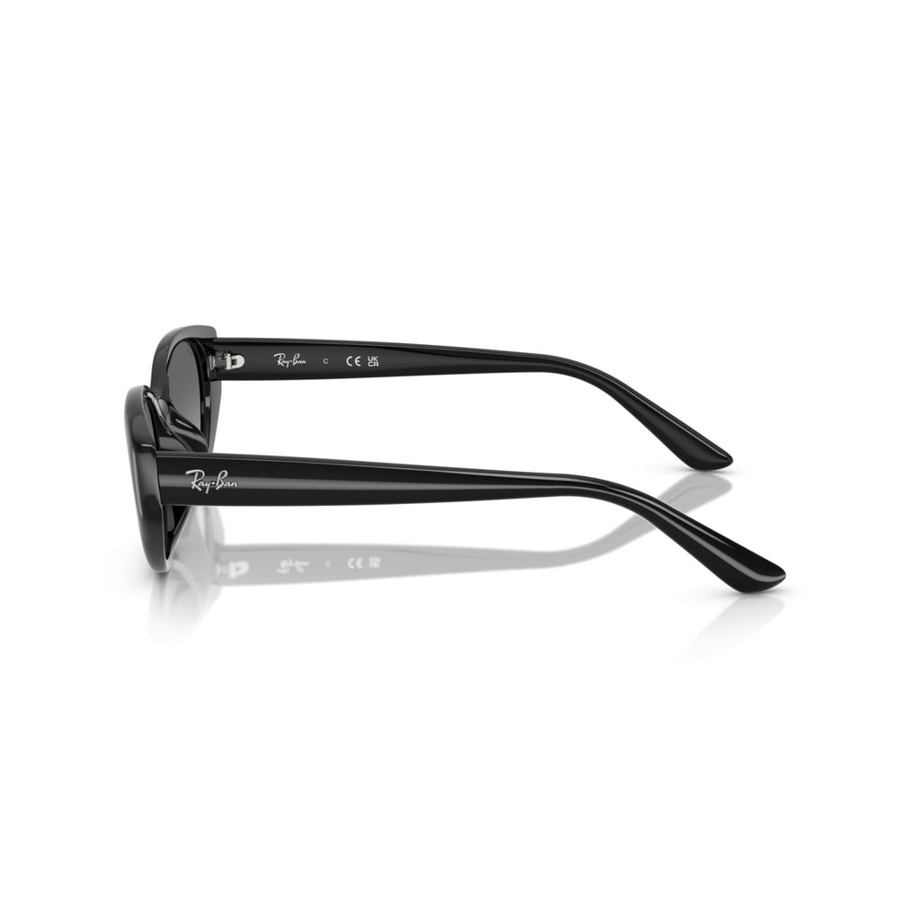 Ray-Ban RB 4457D - 667711 Nero | Occhiale Da Sole Unisex