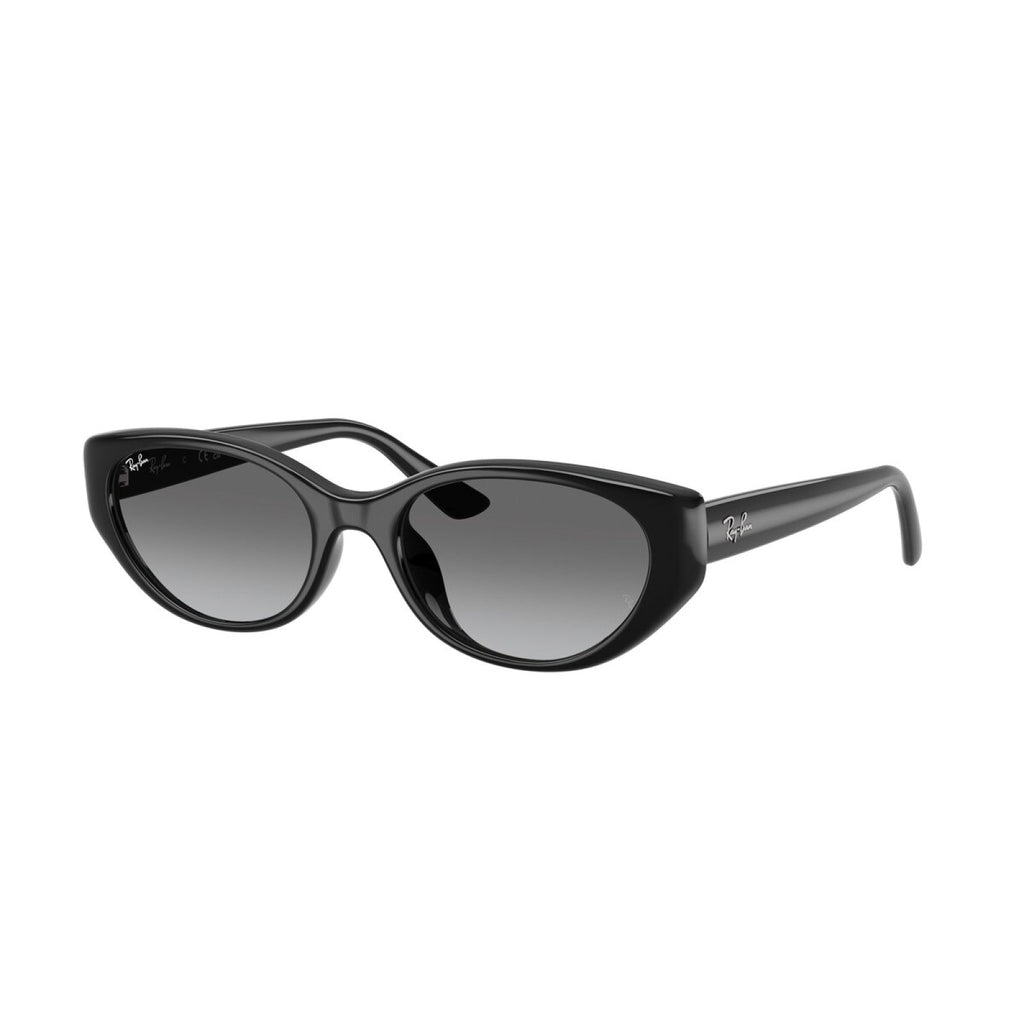 Ray-Ban RB 4457D - 667711 Nero | Occhiale Da Sole Unisex