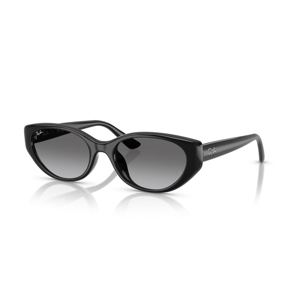 Ray-Ban RB 4457D - 667711 Nero | Occhiale Da Sole Unisex