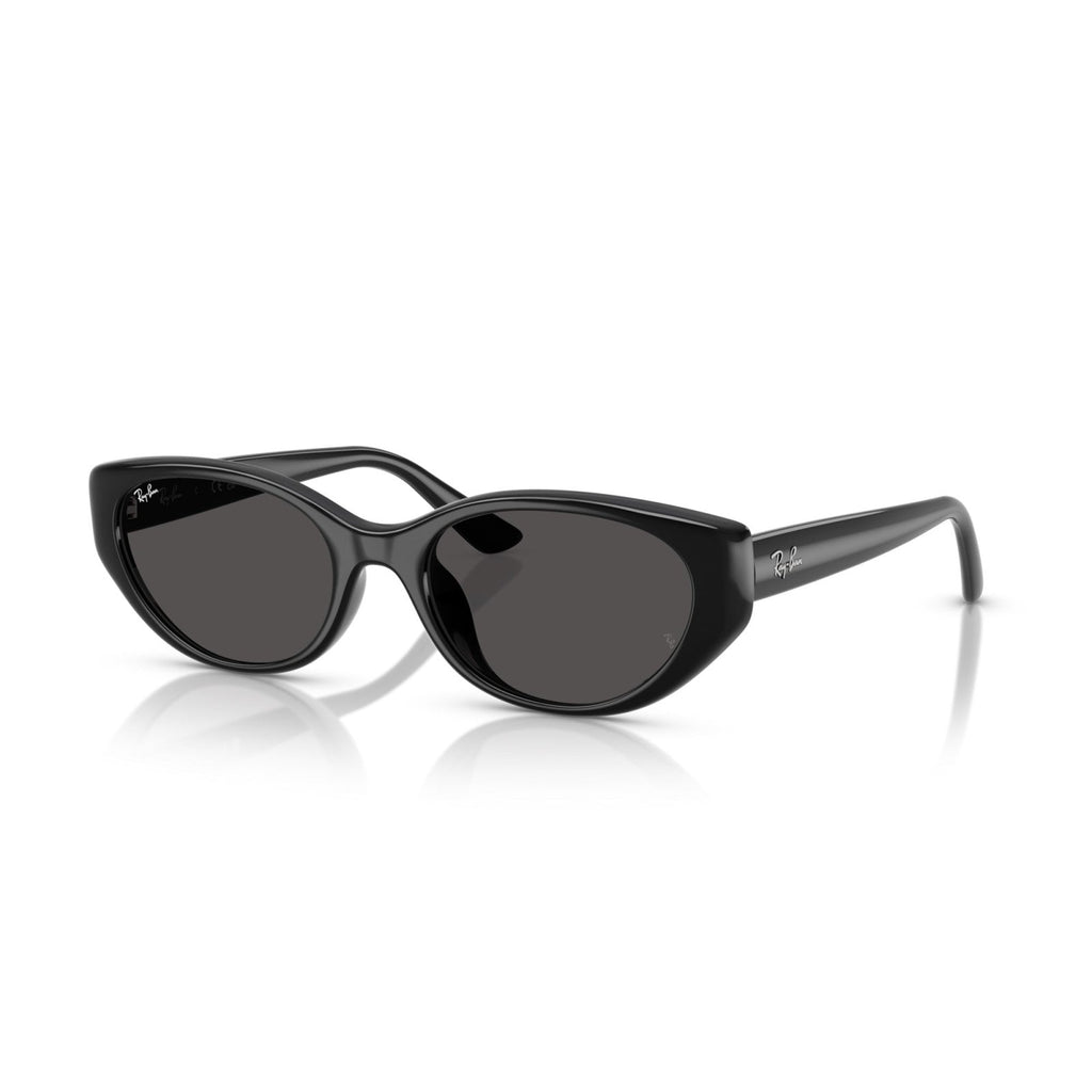 Ray-Ban RB 4457D - 667787 Nero | Occhiale Da Sole Unisex