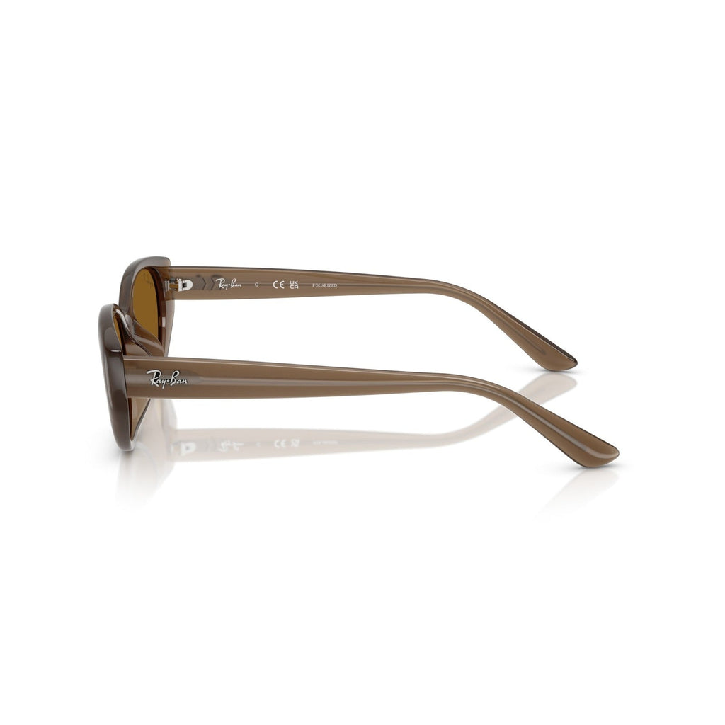 Ray-Ban RB 4457D - 677983 Marrone Trasparente | Occhiale Da Sole Unisex