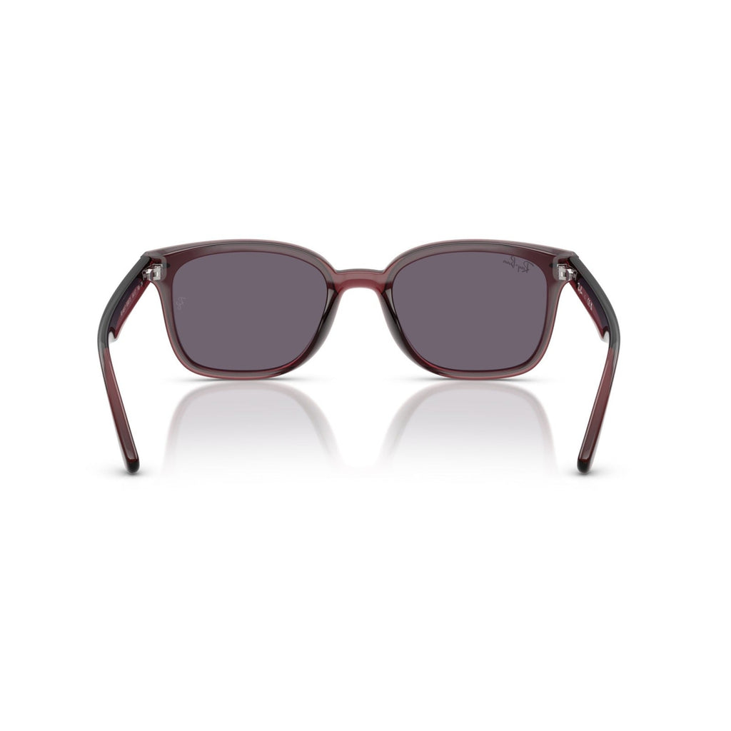 Ray-Ban RB 4461D - 659373 Marrone Scuro Trasparente | Occhiale Da Sole Unisex