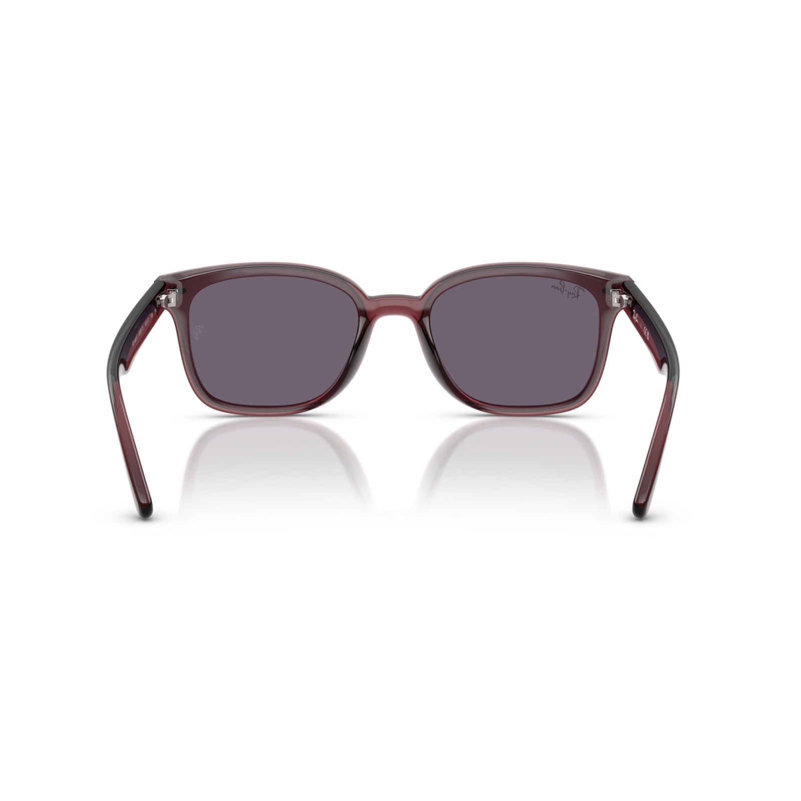Ray-Ban RB 4461D - 659373 Marrone Scuro Trasparente | Occhiale Da Sole Unisex