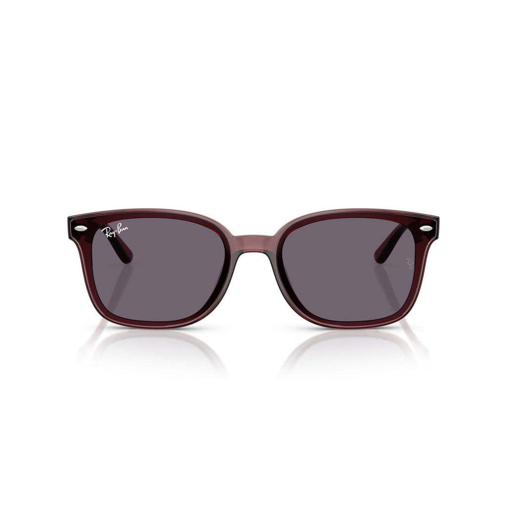 Ray-Ban RB 4461D - 659373 Marrone Scuro Trasparente | Occhiale Da Sole Unisex