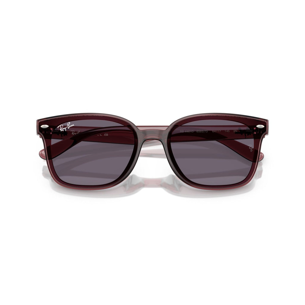 Ray-Ban RB 4461D - 659373 Marrone Scuro Trasparente | Occhiale Da Sole Unisex