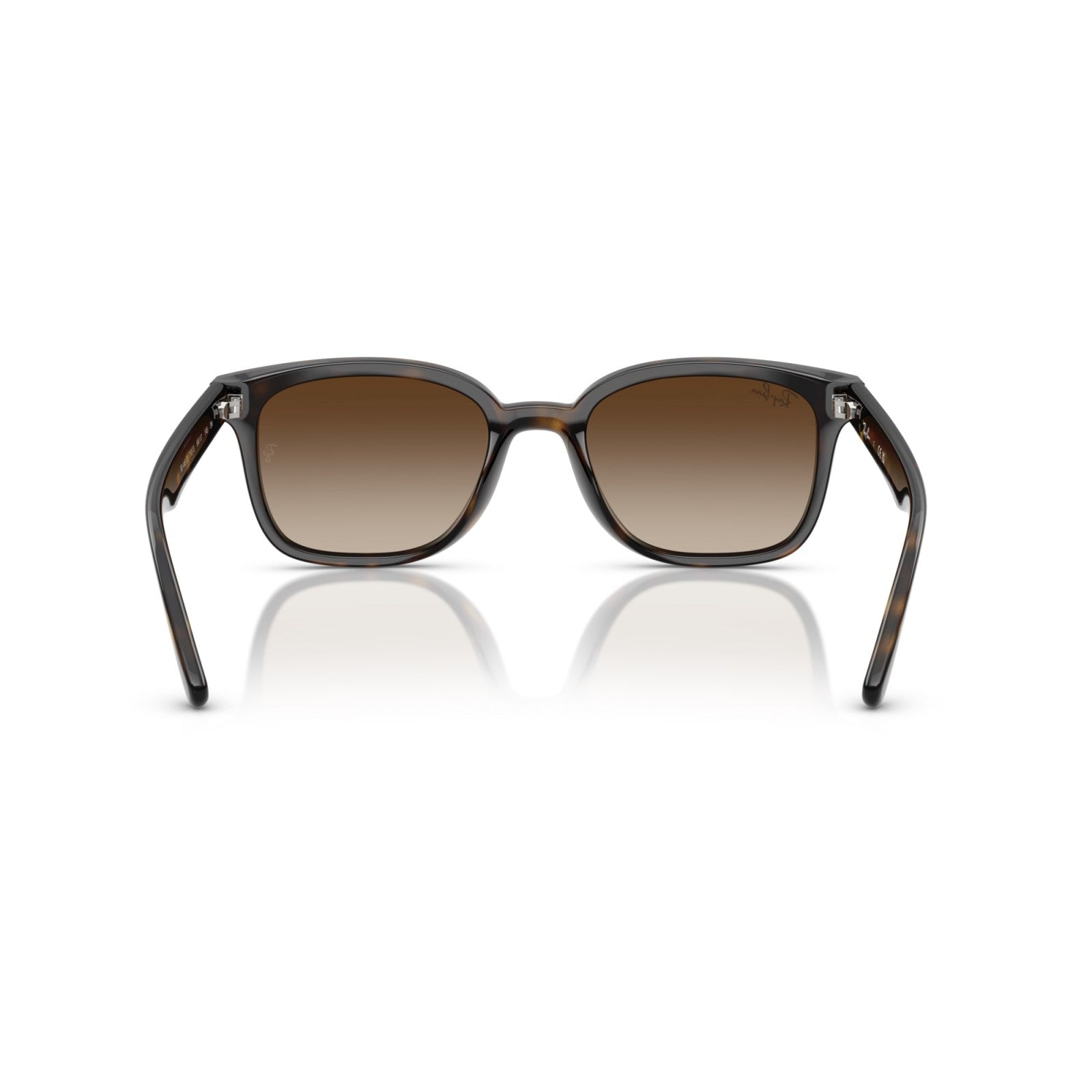 Ray-Ban RB 4461D - 710/13 L'Avana | Occhiale Da Sole Unisex