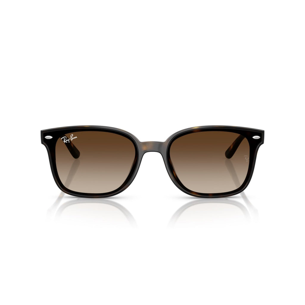 Ray-Ban RB 4461D - 710/13 L'Avana | Occhiale Da Sole Unisex