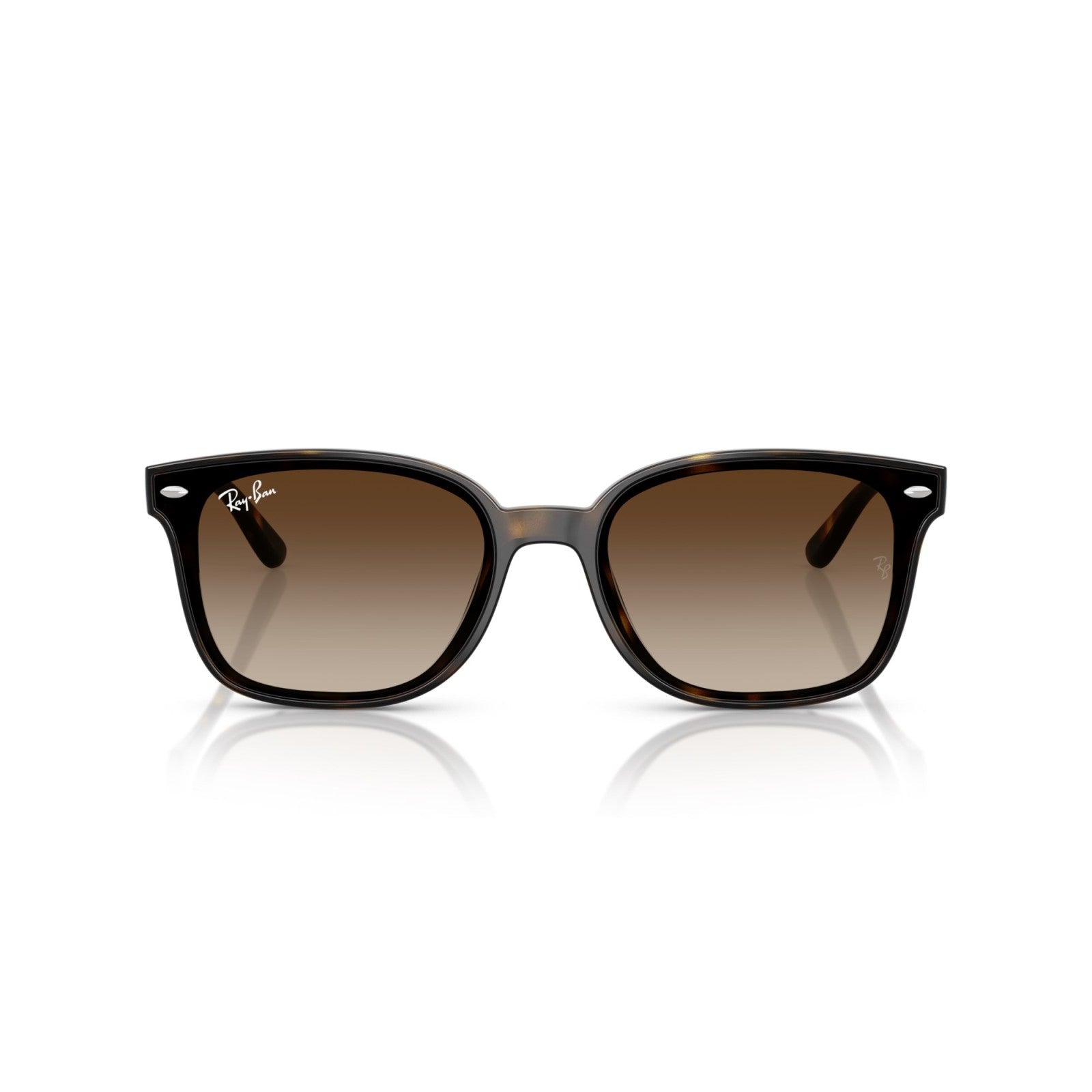 Ray-Ban RB 4461D - 710/13 L'Avana | Occhiale Da Sole Unisex