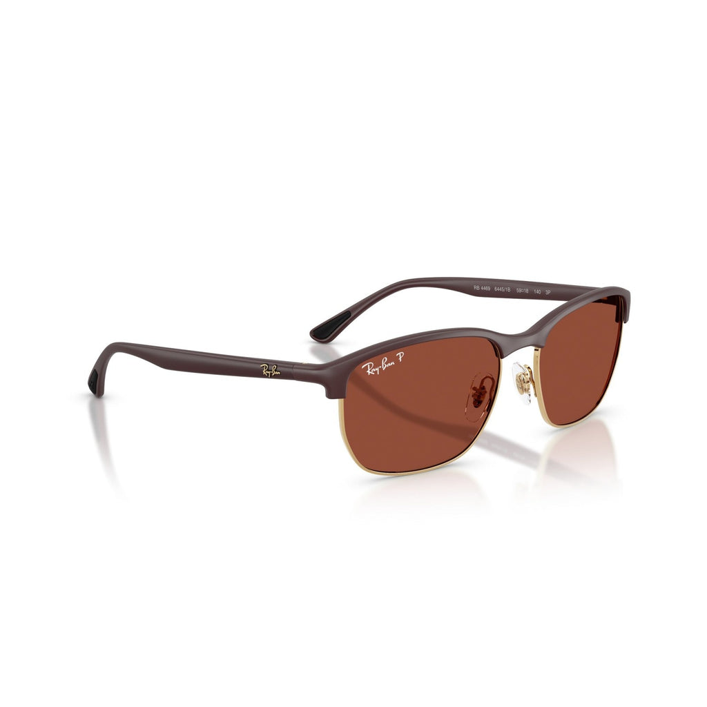 Ray-Ban RB 4469 - 64451B Sabbia Viola | Occhiale Da Sole Unisex