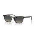 Ray-Ban RB 4474D - 667511 Grigio Scuro Trasparente | Occhiale Da Sole Unisex
