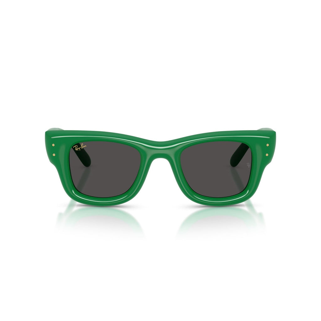 Ray-Ban RB 4940 Wayfarer Puffer 683487 Verde | Occhiale Da Sole Unisex