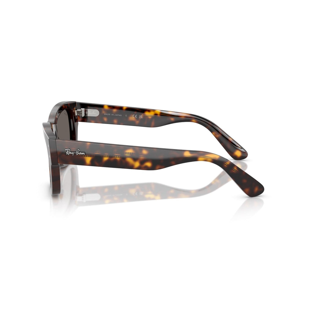 Ray-Ban RB 7683S Joseph 902/B1 L'Avana | Occhiale Da Sole Unisex