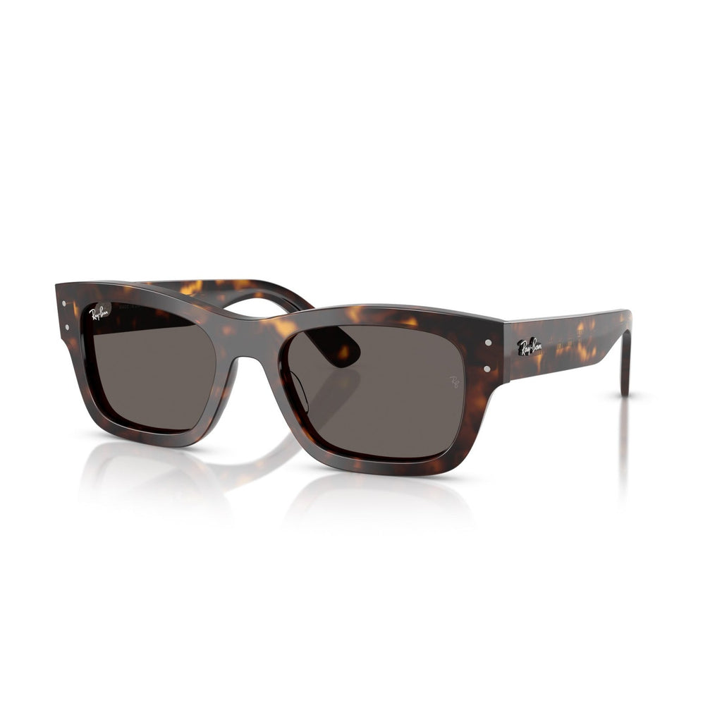 Ray-Ban RB 7683S Joseph 902/B1 L'Avana | Occhiale Da Sole Unisex