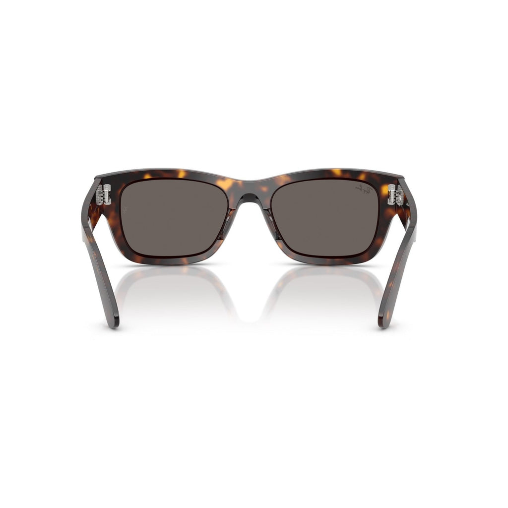 Ray-Ban RB 7683S Joseph 902/B1 L'Avana | Occhiale Da Sole Unisex