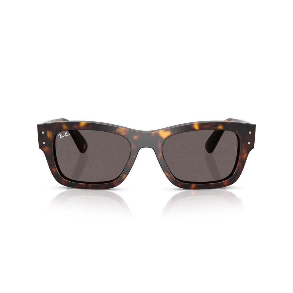 Ray-Ban RB 7683S Joseph 902/B1 L'Avana | Occhiale Da Sole Unisex