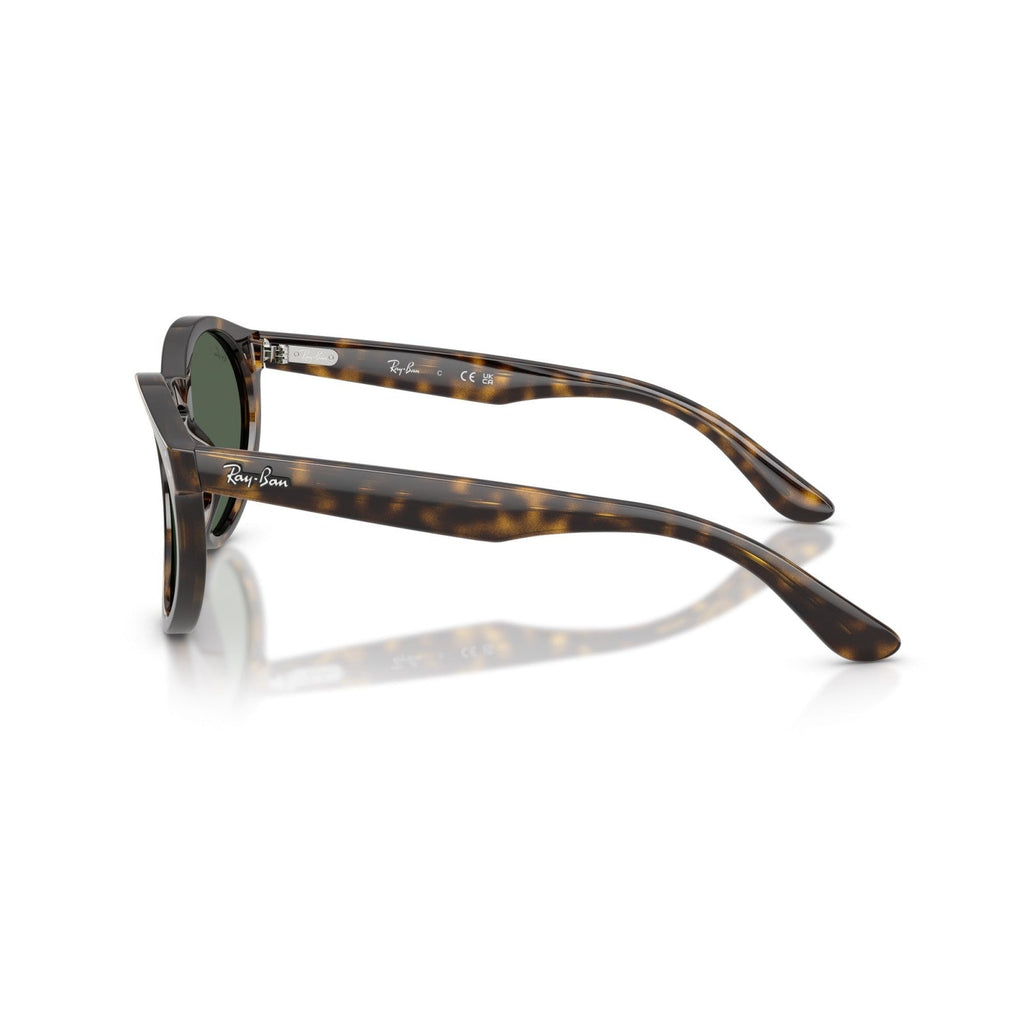 Ray-Ban RB R0505S - 6790VR L'Avana | Occhiale Da Sole Unisex